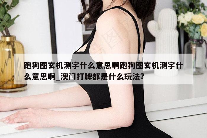 跑狗图玄机测字什么意思啊跑狗图玄机测字什么意思啊_澳门打牌都是什么玩法?